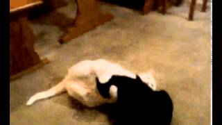 Feona And Keri Wrestling