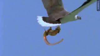 Amazing Nature Incredible Part-2Croatia 4K Nature Doentary Film With Voice Over