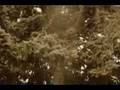 Externality Types Of Externalities | RM. Externality Types Of Externalities | RM.