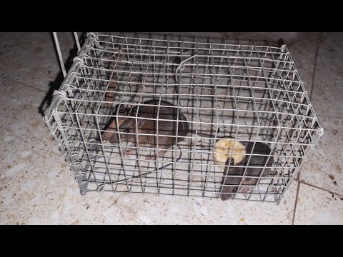 lần đầu mới gặp được cảnh này trong đời lần đầu mới gặp được cảnh này trong đời