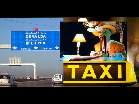 CANULAR TAXIEUR BLIDA IRBAN 2014