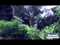 Vacant Land For Sale in Southbroom, South Africa for ZAR 880,000.