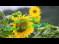 Asheville NC Camping, Candler NC Hipcamp