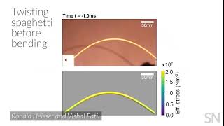 How to perfectly snap pasta, according to science | Science News