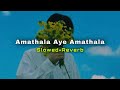 Amathala Aye Amathala (Slowed+Reverb) | Udaya Shree | SlowMo_LK