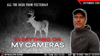 Everything On My Cameras Yesterday - A Couple Of Targets Bowhunting Whitetails W Bill Winke