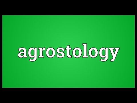 Header of agrostology