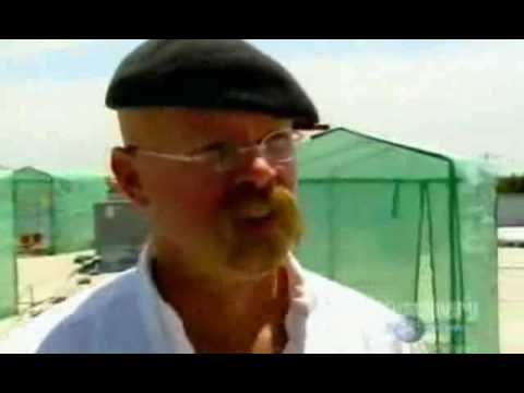 MythBusters - Talking to plants - part1