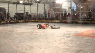 RG15 - Touro Maximus vs Polar Vortex