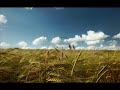 Poco - Magnolia  (J.J. Cale cover)