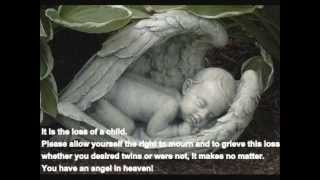 A Quick Clip About Vanishing Twin Syndrome (VTS.) Facts & Photos!