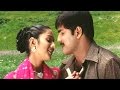 Chilaka Chilaka Full Video Song || Oka Radha Iddaru Krishnula Pelli Movie || Srikanth, Namitha
