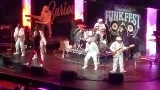 The Barkays Omatic Do It