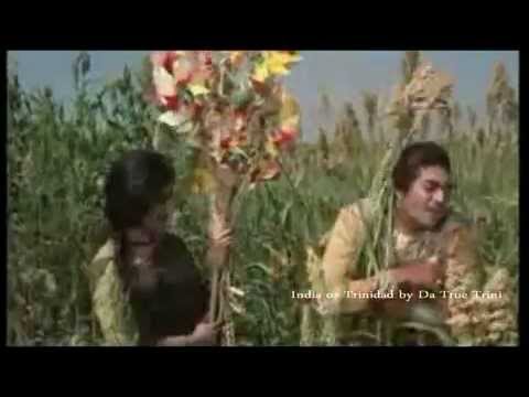 2014 Chutney - Rick Ramoutar Ft Rafi - Ah Shoulda Neva - O Phirki...