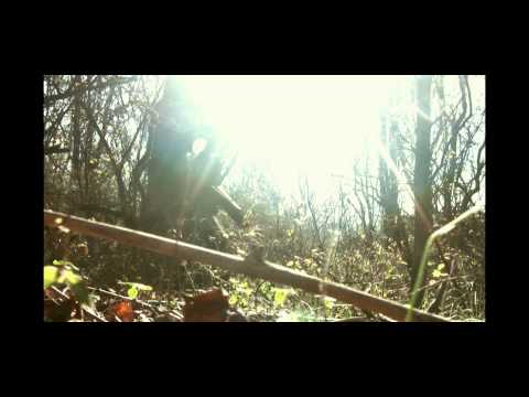 Monkey In My Chair Video