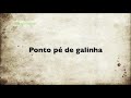 Bordado Enedina - Rosa Dupla Sianinha Parte 2