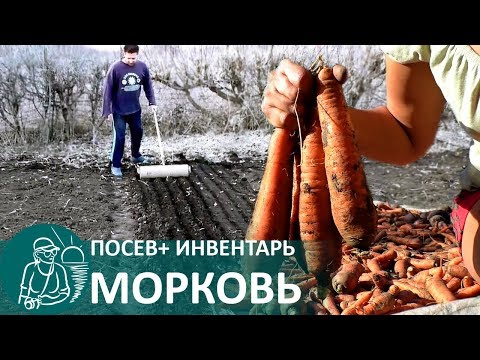 Приспособление для посева моркови Приспособление для посева моркови