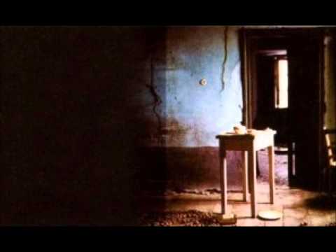 Rivecu Video