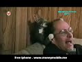 Cats and Dogs
