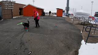 Parking Sample Video - February 13 L3C Trial