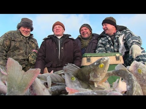 барнаул две воды рыбалка барнаул две воды рыбалка