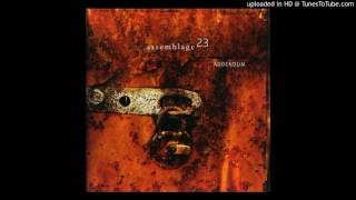 Watch Assemblage 23 Silence video