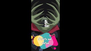 5 Faits Sur Zetsu