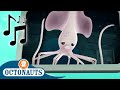 Octonauts - Long-Arm Squid and Others | Cartoons for Kids | Creature Reports