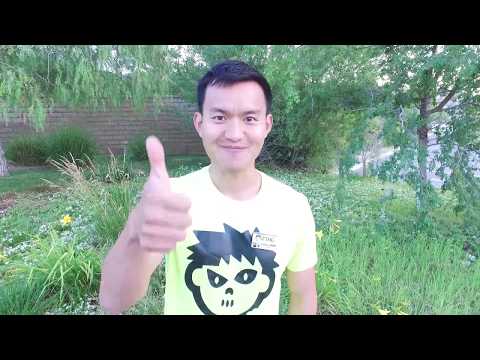 How to play ZTag - Basics
