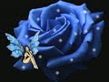 view Amour En Or