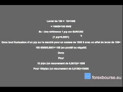 Ecole du forex.fr