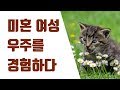 섹스테크닉교과서시리즈 - 발렌후기 미혼여성 버젼