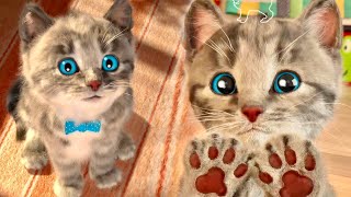 Animasyon Little Kitten Preschool Adventure Educational - Best Cartoons For Babies