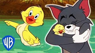 Tom & Jerry em Português | O Melhor do Patinho | Compilação de Animações Clássicas | WB Kids