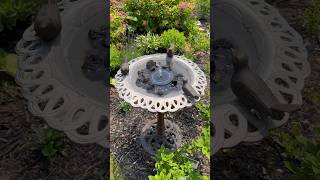 Another Purchase Closer To Being Snow White