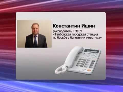 Продлят ли карантин в тамбовских школах Продлят ли карантин в тамбовских школах