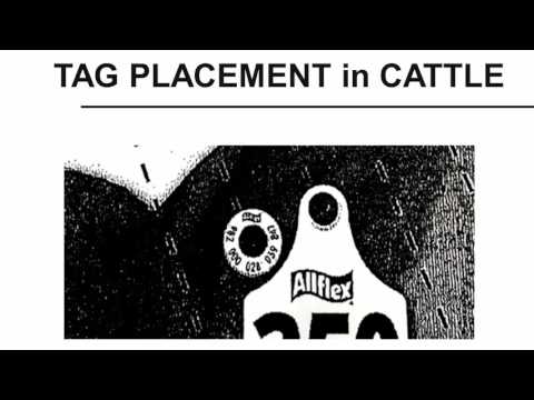 RFID: How to Apply the Tag