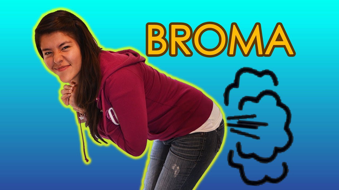 DESCARGAR VIDEOS DE BROMA descargar videos de broma: