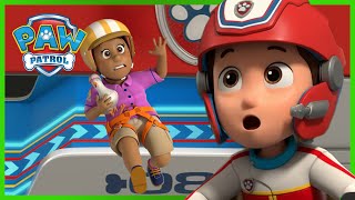 Pups Save The Treetop Trekkers - Paw Patrol Uk - Cartoons For Kids