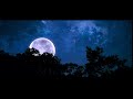 White Moon at Night - 4K Video