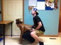 How Animals Have Sex (stupid funny) How Animals Have Sex (stupid funny)