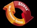 Islam and stress (Health Psychology- stress and the affect on the body)