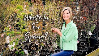 What's In For Spring?