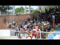 Harlem Shake Liceo Del Valle 1.0