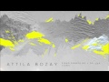 Attila Bozay - Piano Sonata No. 1, Op. 33a - II. Andantino grazioso -