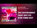 The Instrument That Got Its Eyes Torn Out Video preview