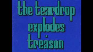 Watch Teardrop Explodes Books video