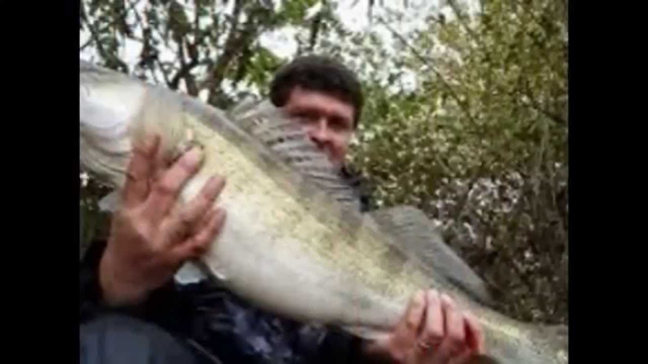 Pour la pêche acheter les tétines