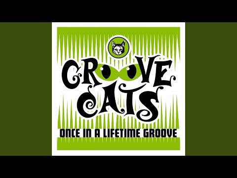 Once In A Lifetime Groove Video