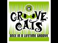 view Once In A Lifetime Groove